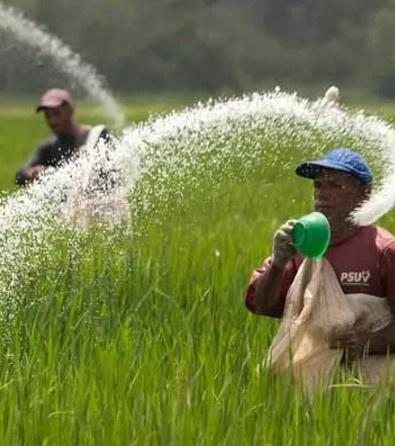 Image credit Tarafert