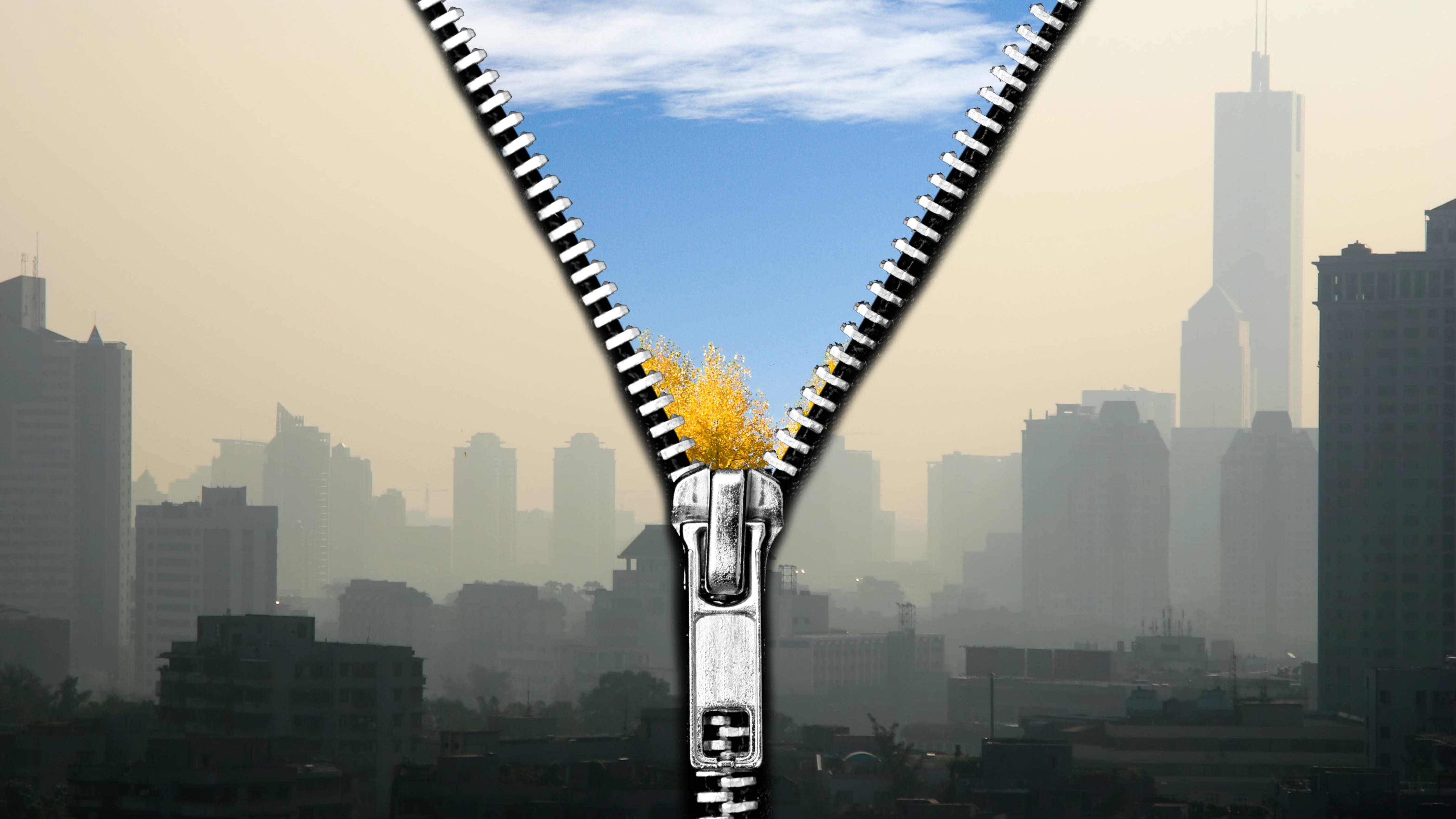 65b40e9fd84d0b001eec7d8c Photo 12400630 Brad Calkins Dreamstime