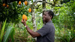 65cb8f350330c9001e5064d3 Ofi 2 65cb8f350330c9001e5064d3 Ofi 2