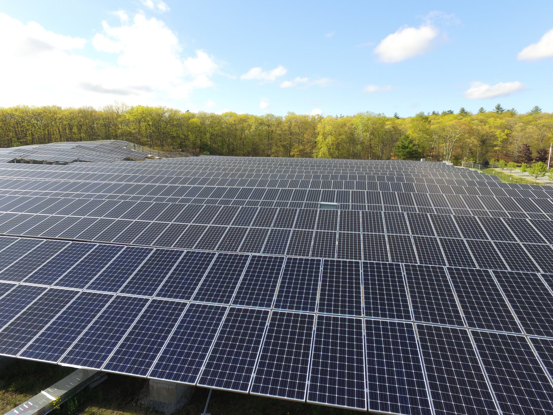 65ccdbf4b03ab7001e23b902 Doe 3