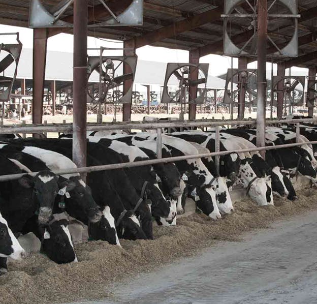 667ee8f98505d838727763f4 Full Circle Diary