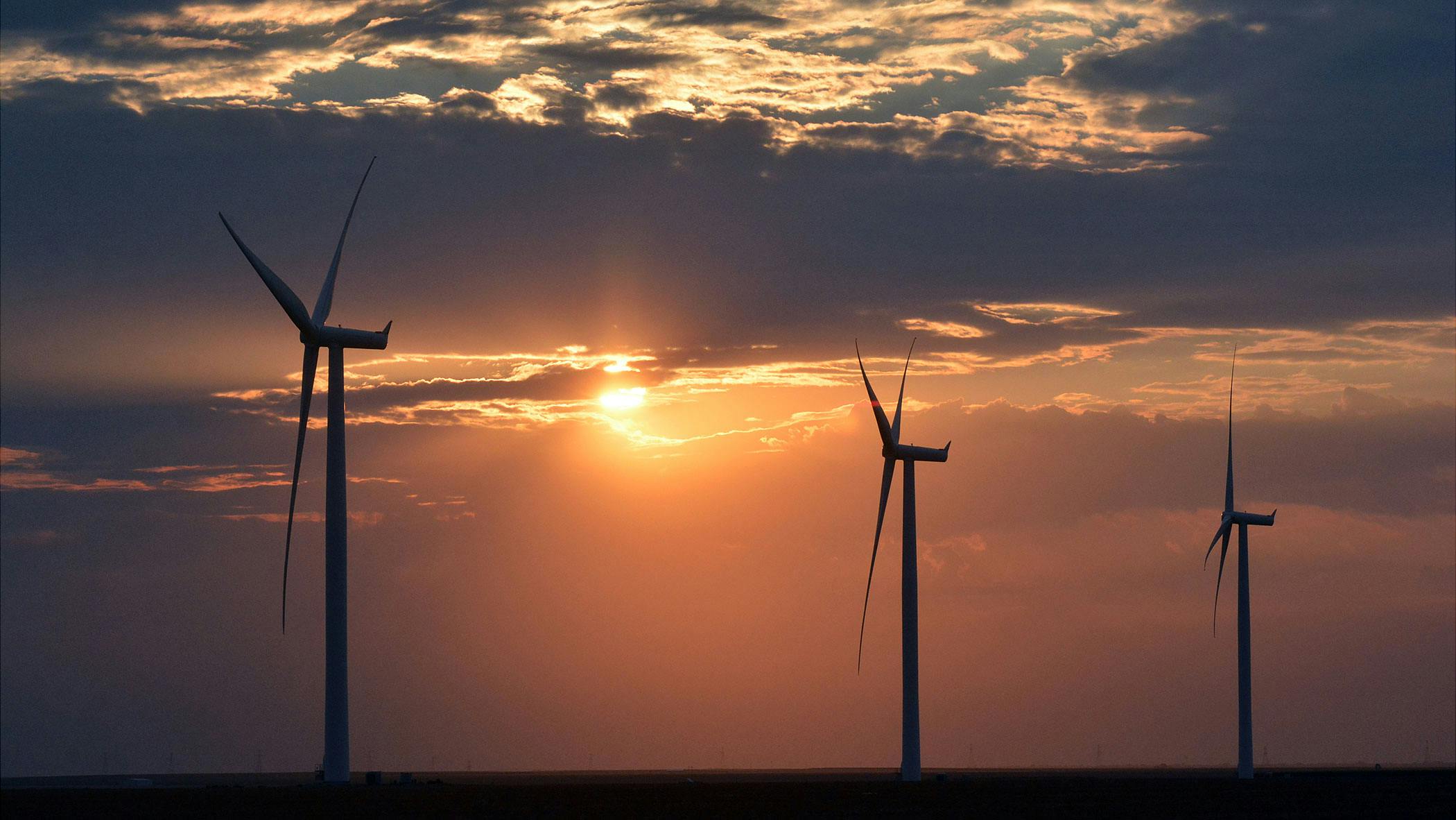 66901b52d1d73367c17f0c82 Doe 3