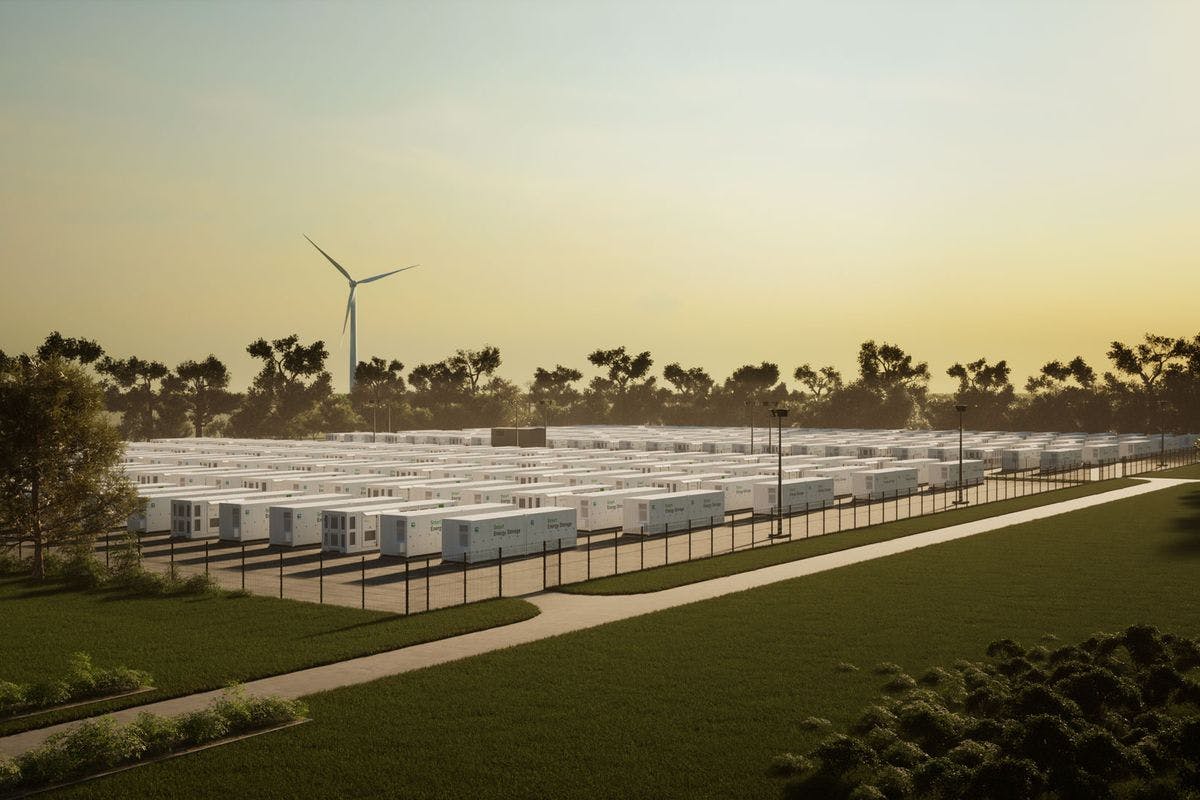 669fad241926117441b8ed8d Pacific Green