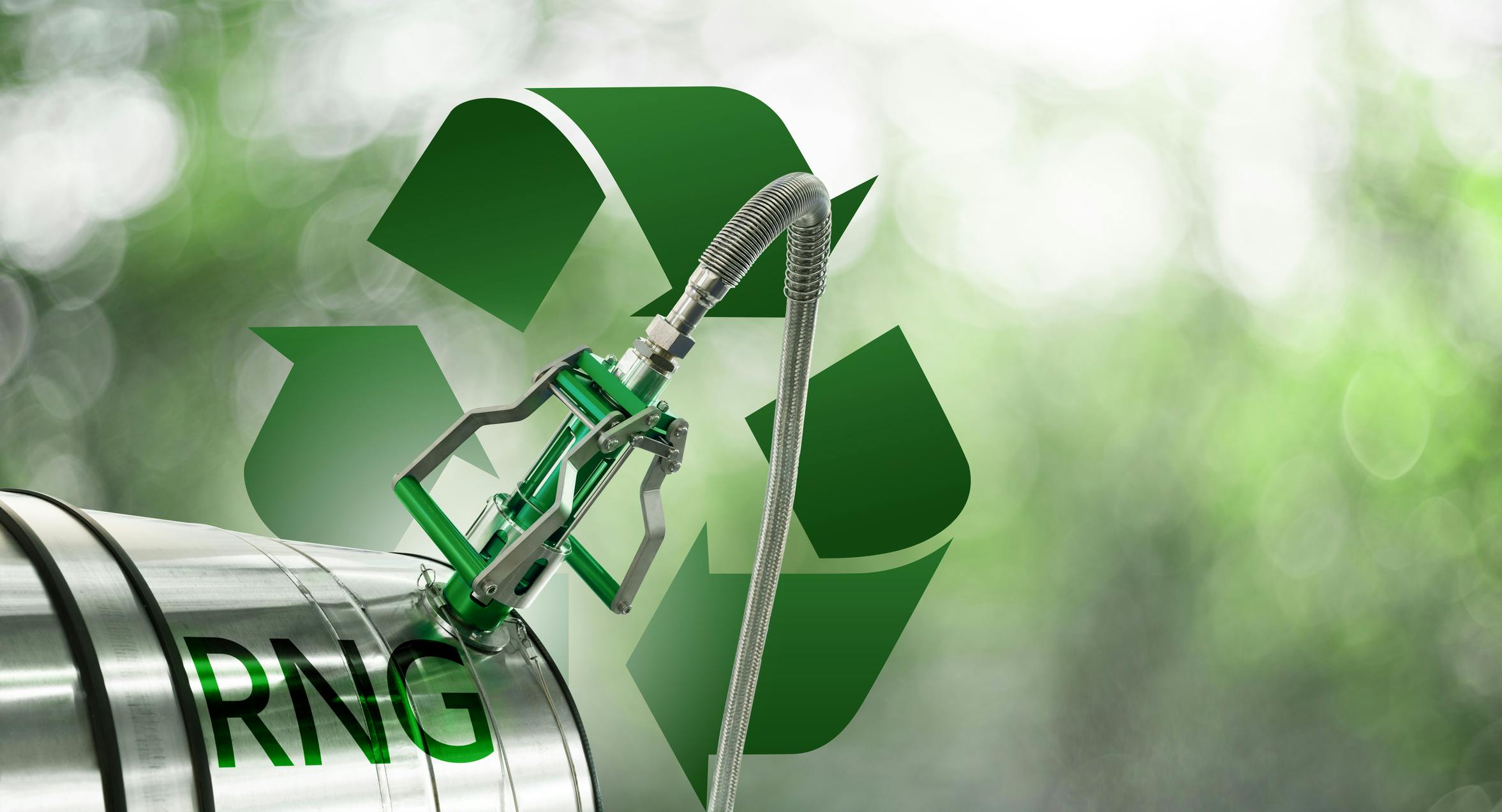 66fa9855aa8b280c59b22c70 Dreamstime Rng