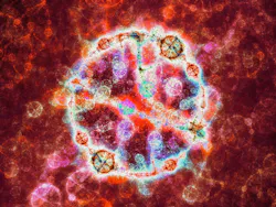 6762d8183f5ebb6cbdddf091 Fusion Dreamstime 6762d8183f5ebb6cbdddf091 Fusion Dreamstime