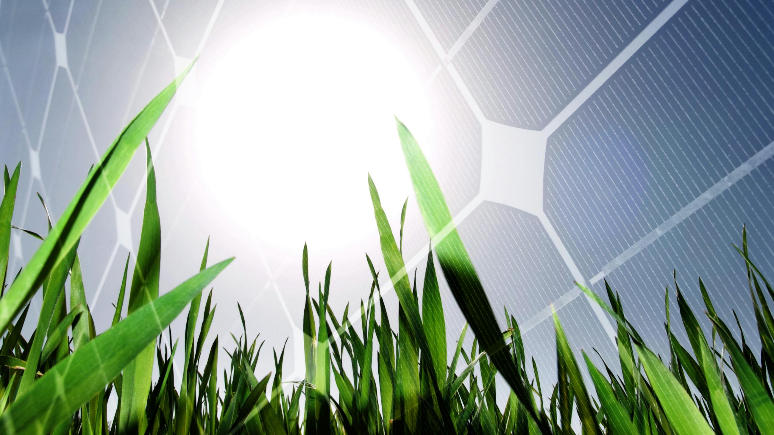 6893ab947fd94735b069e95c Dreamstime L 15527109