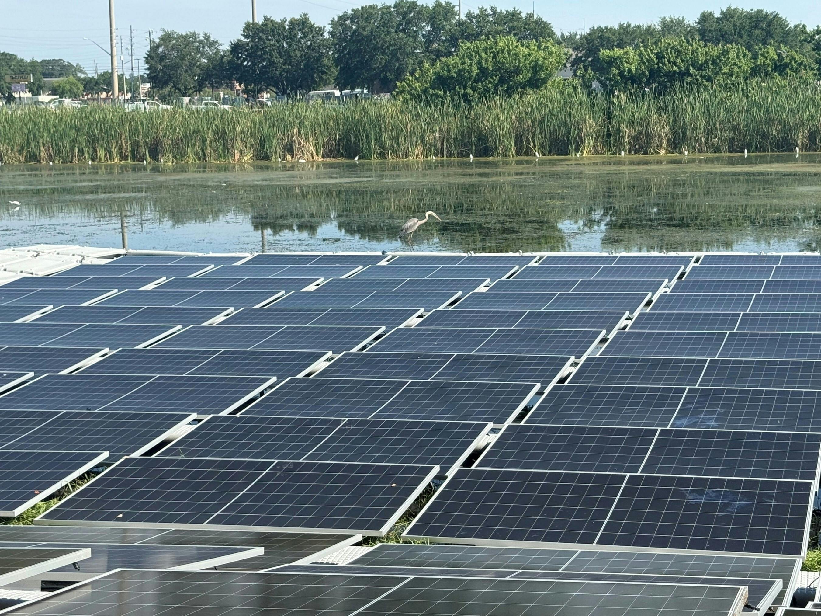 68da95c94c23300083ae9a09 D3energy Nus Floating Solar Goes To College