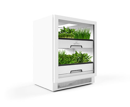 Osram Takes Stake In Horticultural Lighting Maker Agrilution
