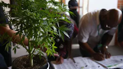 gettyimages gettyimages