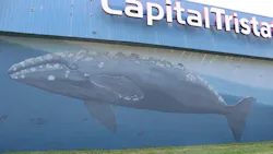 capitaltristatebaltimorewhalemural capitaltristatebaltimorewhalemural