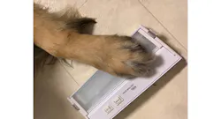 Moxie Nsl Partnership 5faec8ff27818 Moxie Nsl Partnership 5faec8ff27818