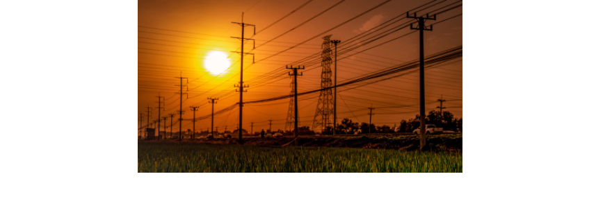 Ellie Grid Story 61561e88190ed