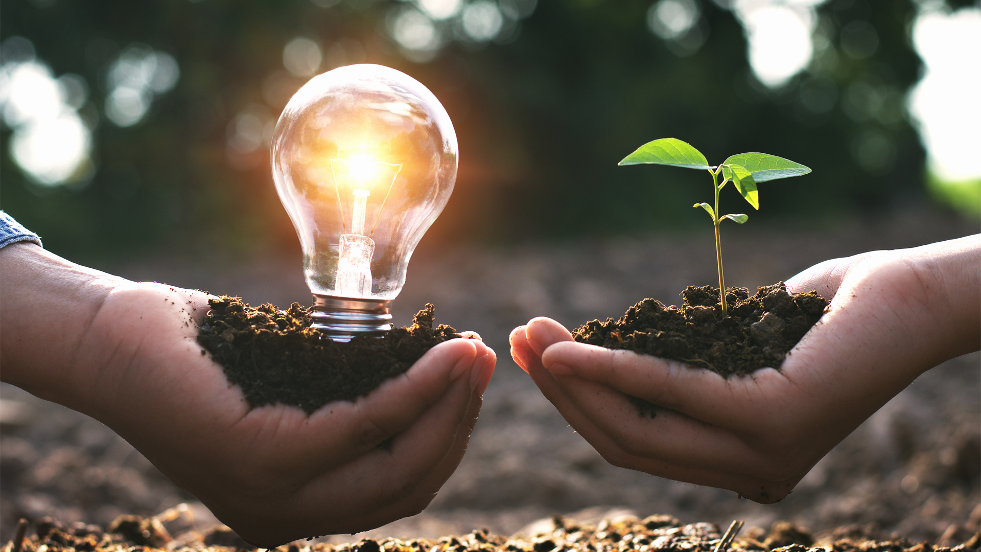 Photo 134297104 Lovelyday12 Dreamstime 61e6e6973ab5c