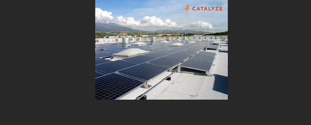 Turtle Catalyze Logo Photo 1025 648892f1bd2a7