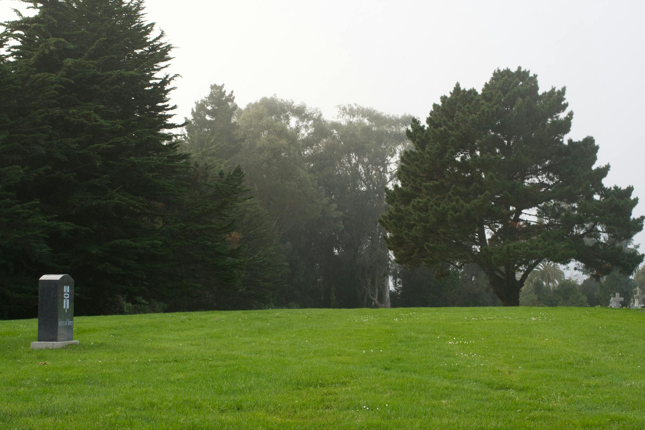 66689808e1af820f1cabbefe Obituary 57640139 Dreamstime