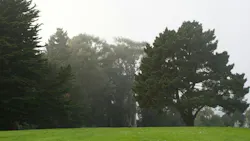 673f728d088ec13804a36ed9 Obituary Photo 57640139 Edenmanusphotography Drea 673f728d088ec13804a36ed9 Obituary Photo 57640139 Edenmanusphotography Drea