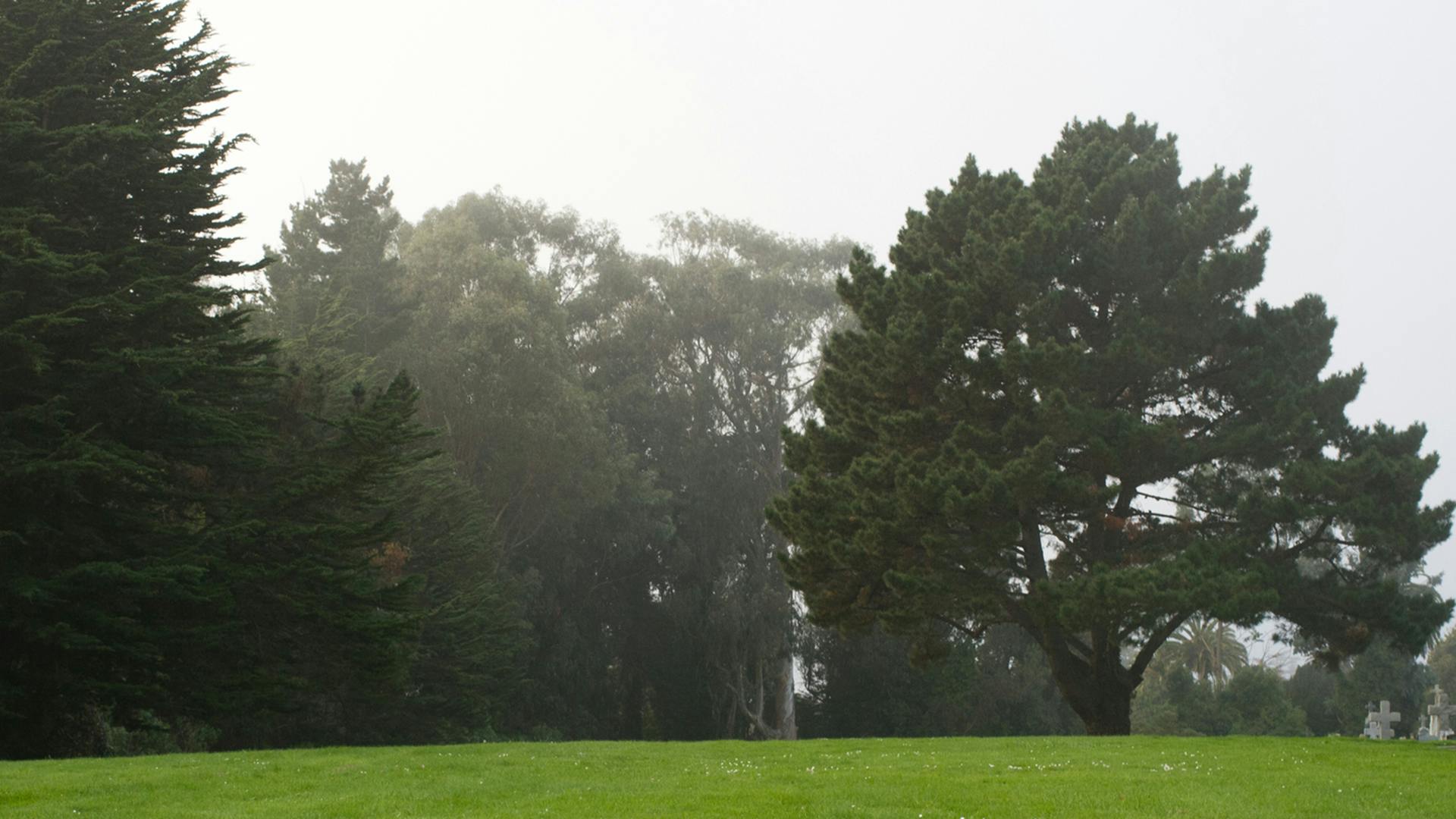 685c22bc264bbc360b0cbcbf Obituary Photo 57640139 Edenmanusphotography Drea