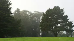 685c22bc264bbc360b0cbcbf Obituary Photo 57640139 Edenmanusphotography Drea 685c22bc264bbc360b0cbcbf Obituary Photo 57640139 Edenmanusphotography Drea