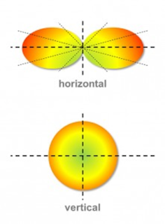 Figure4 Omni Version A 221x300