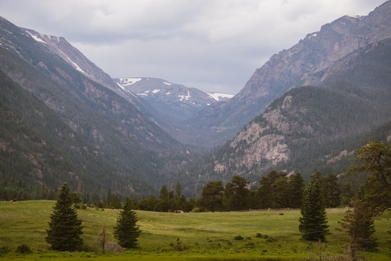 1672943495034 Pexelsbrandongoodman8519318