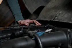 1672950578594 Pexelscottonbro7564870 1672950578594 Pexelscottonbro7564870