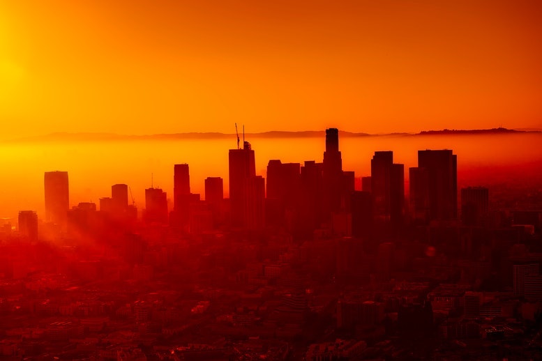 1673018070884 Pexelspixabay237325