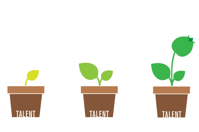 1673051254011 Growingyourowntalent