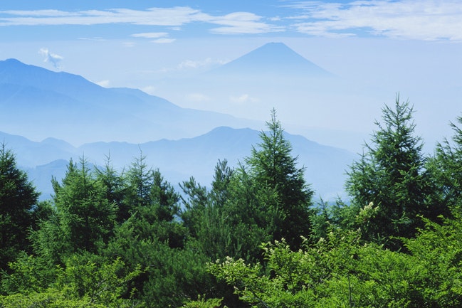 1673276968868 Gogreen