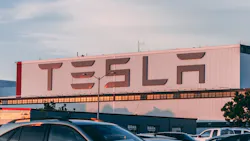 Pexels Craig Adderley 2449452 649491152fa7d Pexels Craig Adderley 2449452 649491152fa7d