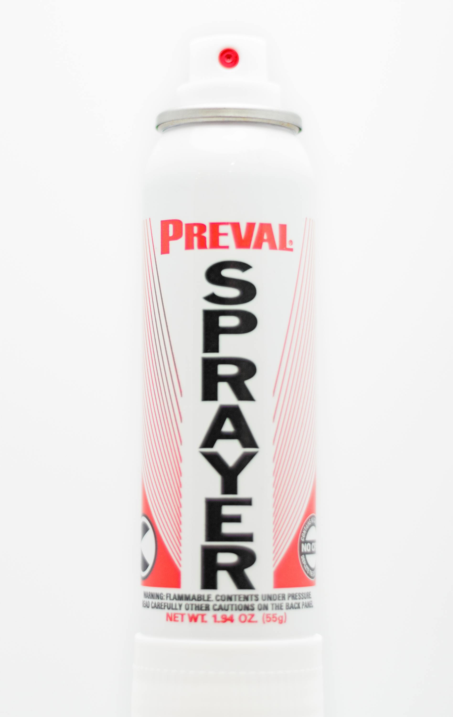 6656f7968d79d8e31e193c61 Preval Sprayer