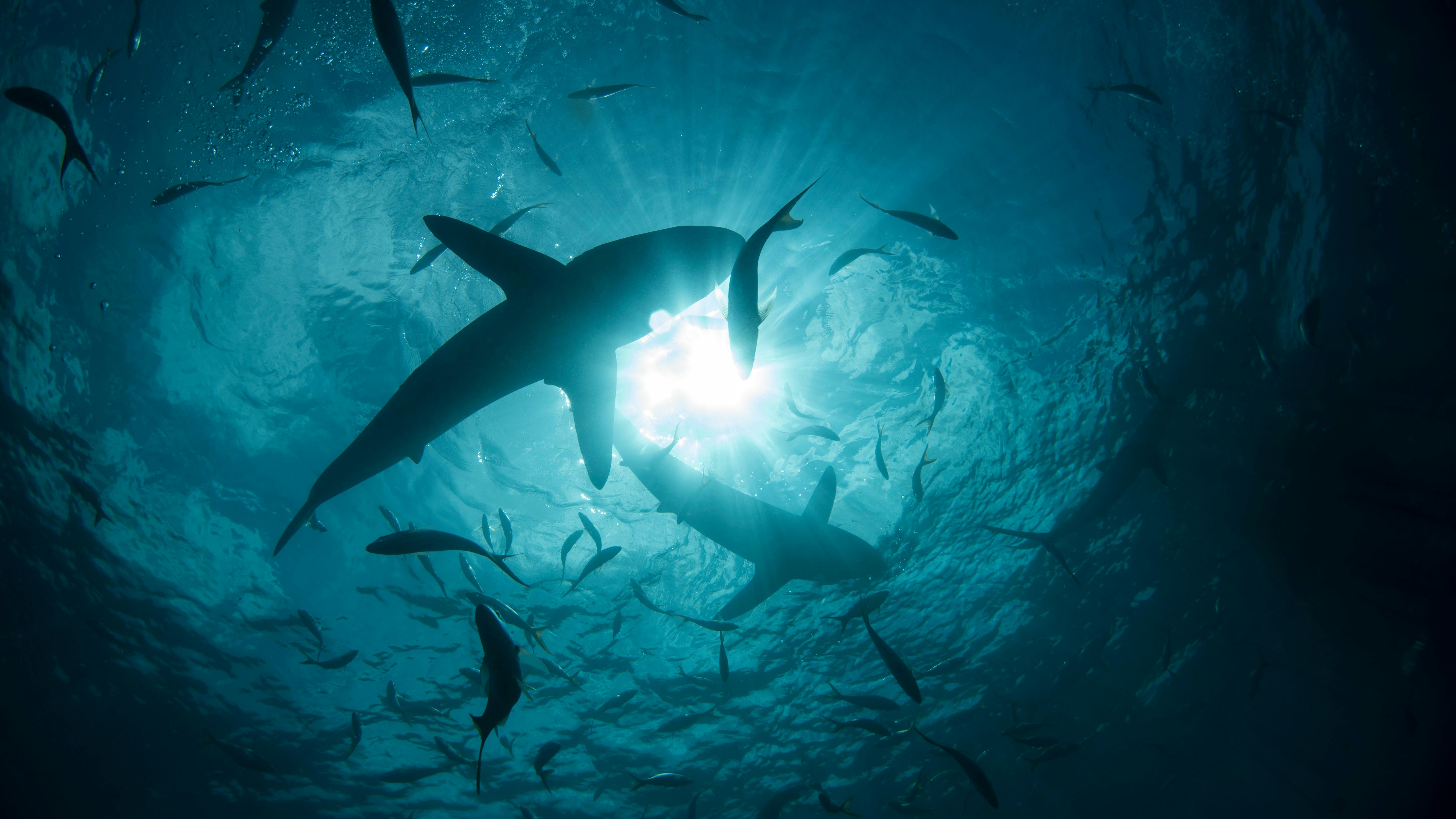 6670214173b9c624be45a7ea Adobestock 230014277