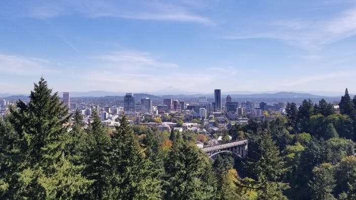 Portland Forest View