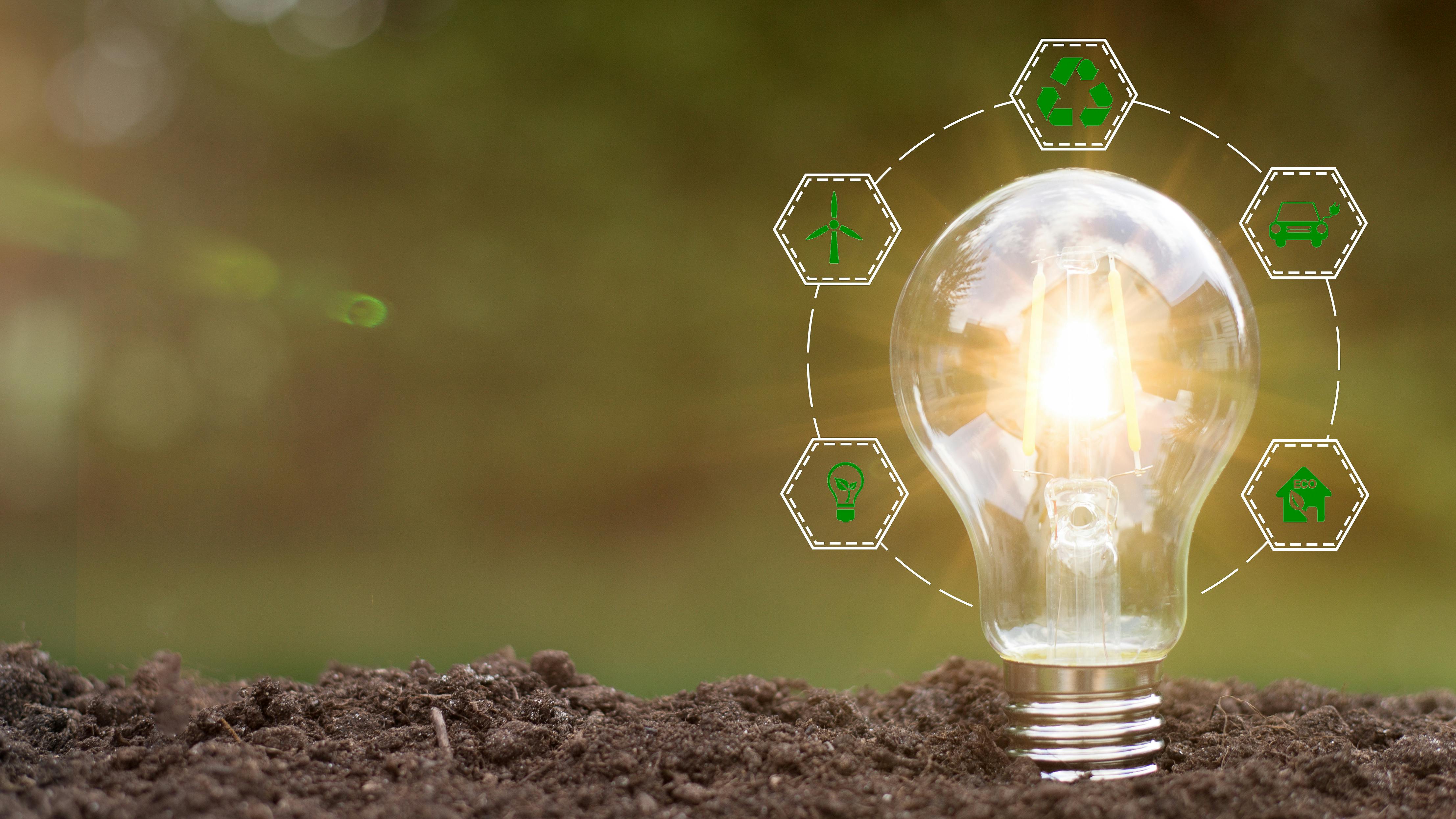 67b9012bd42a56339600f5d4 Adobestock 483433613