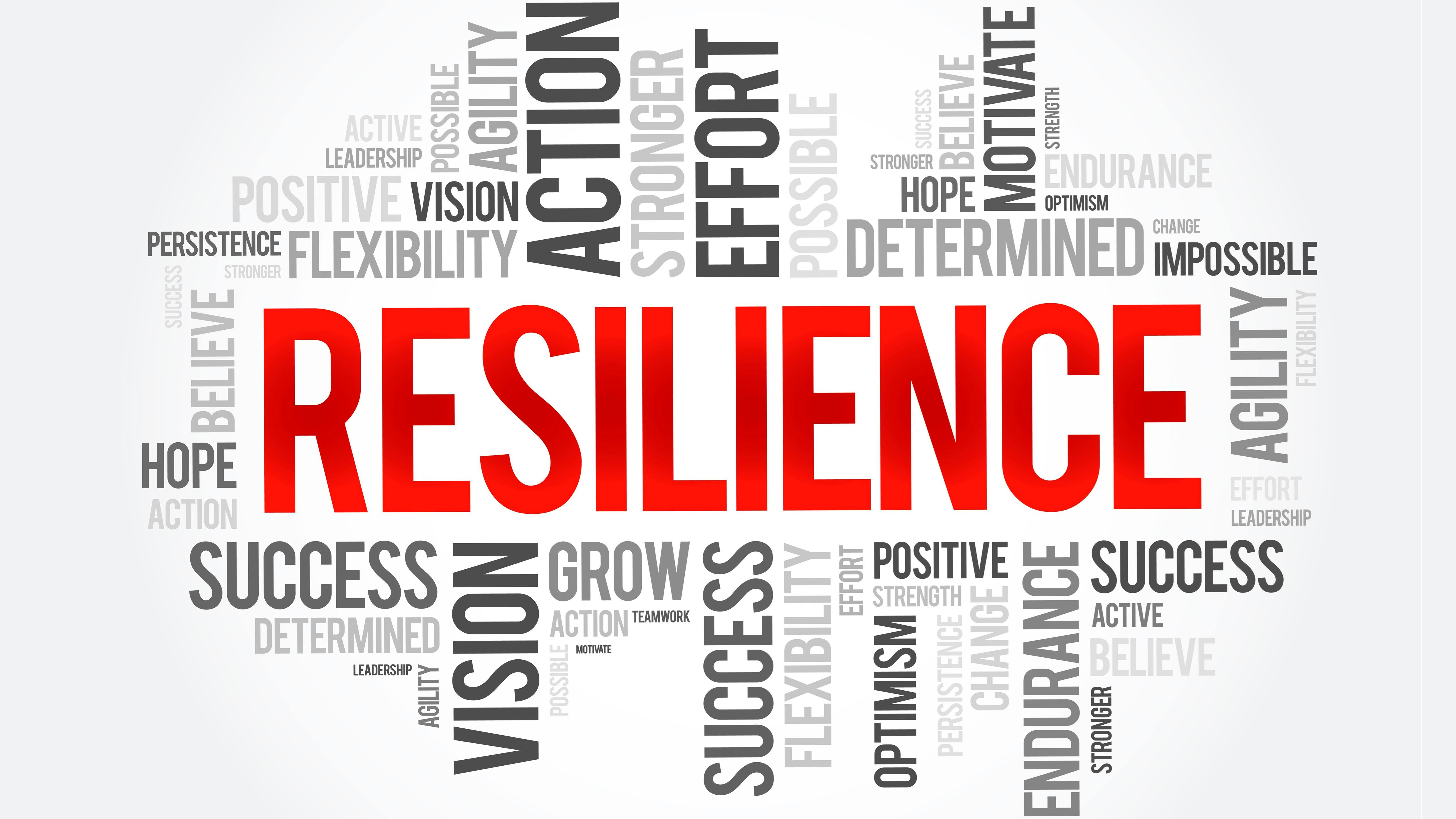 67d8be01ea77a6d5beb63214 Adobestock 429199426