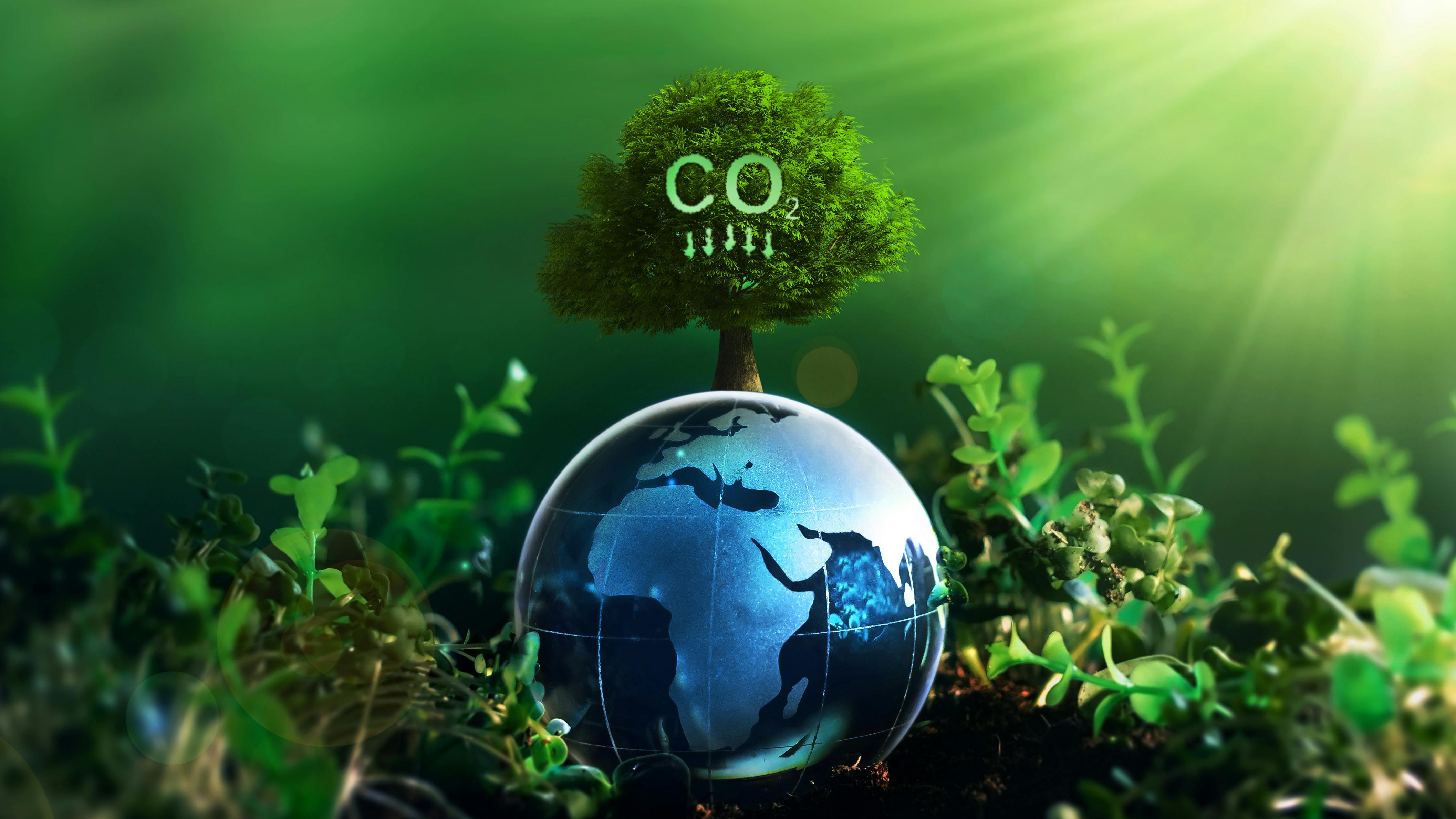 6806826f86618ac9ef2e3247 Adobestock 492972289