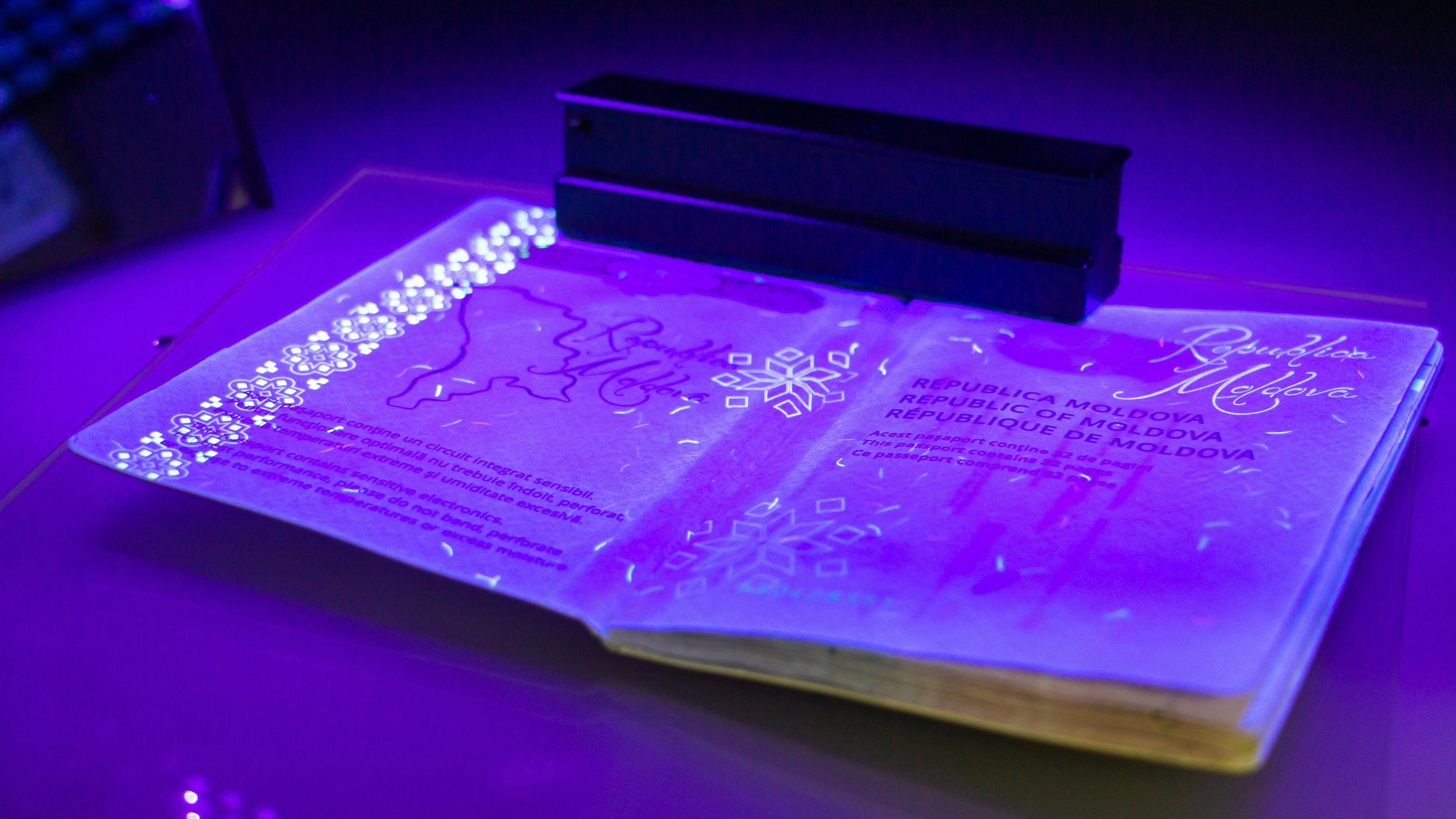 68264776de12a12da363eb5a Adobestock 256685366