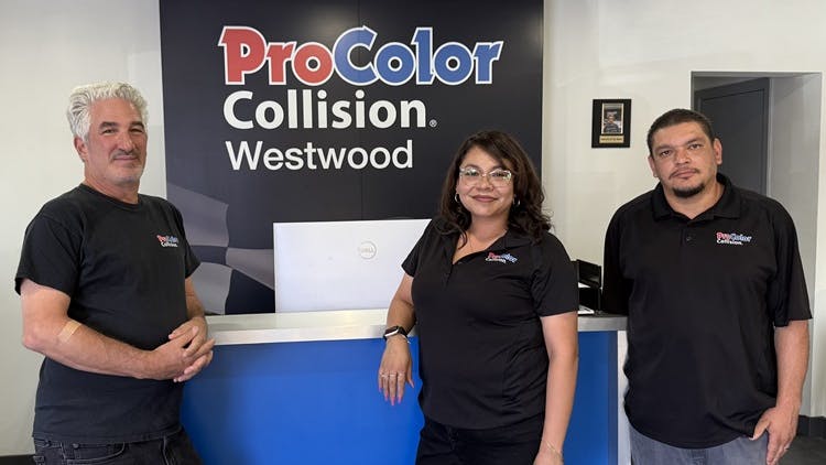 procolor_collision_westwood_team