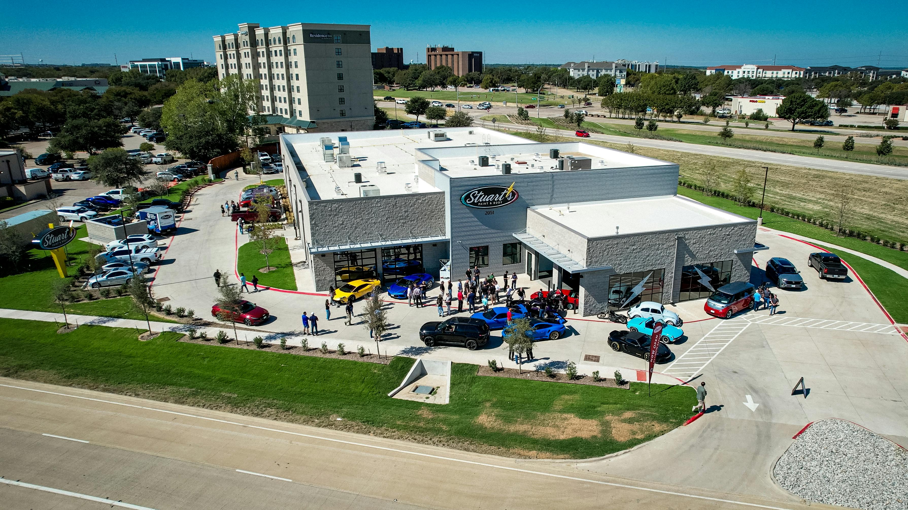 stuart_s_paint__body_grapevine1