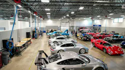 stuart_s_paint__body_grapevine6 stuart_s_paint__body_grapevine6