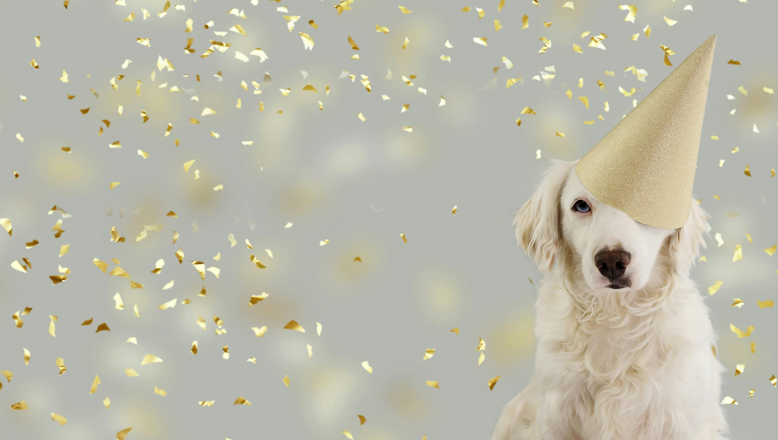 69545b33f64a6e93f2231497 Adobestock 264171213