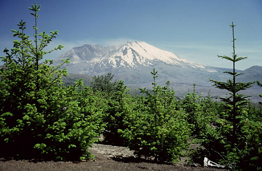 Fleetowner Com Sites Fleetowner com Files Uploads 2012 09 Weyer2