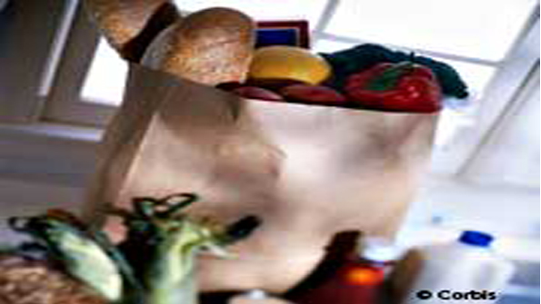 Refrigeratedtransporter 1513 Big Bag Groceries