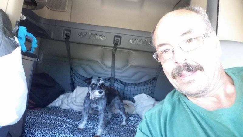 goodyear pet carrier