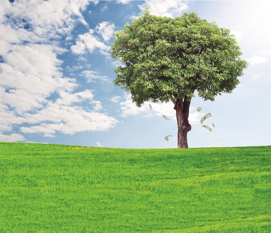 Trucker 6379 Moneytree