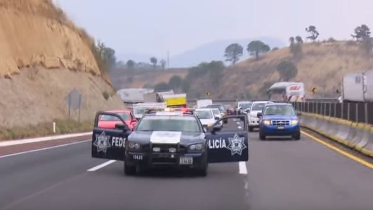 Trucker 1288 Dcow Mex 2