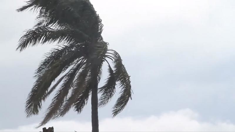 Fleetowner com-webbplatser Fleetowner com-filer laddas upp 2017 09 22 002 orkaner