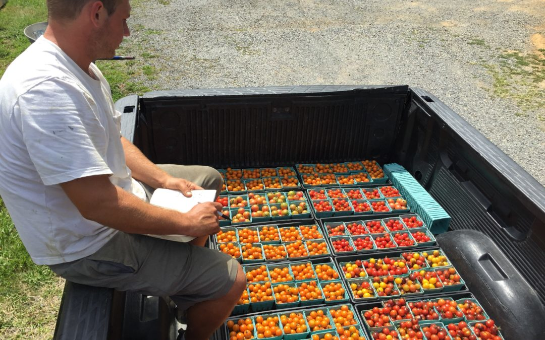 Trucker 7352 Jkmovingfarm 0