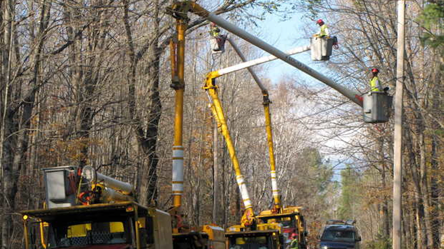 Telematics helps Lucas Tree Experts get the job done | FleetOwner
