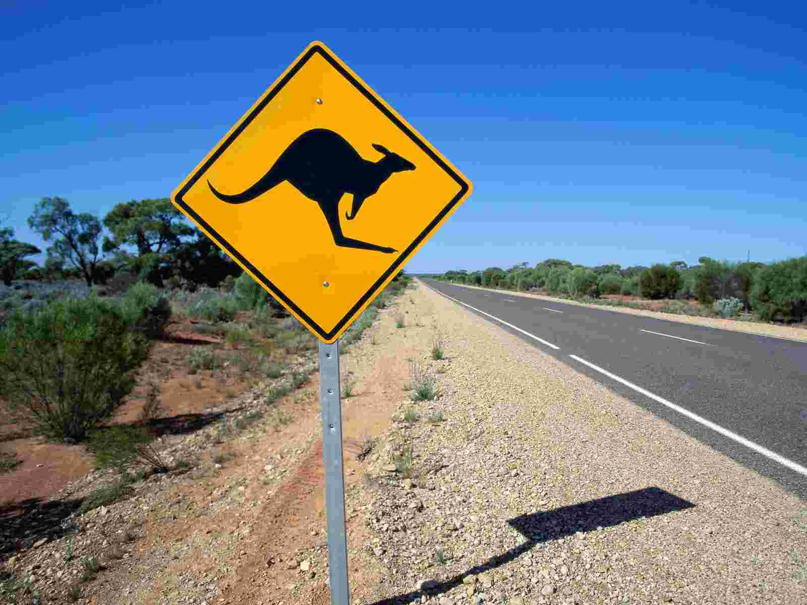 Kangaroo Sign