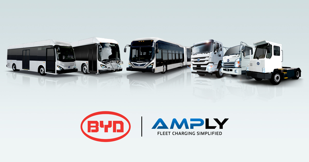 111119 BYD-AMPLY.jpg